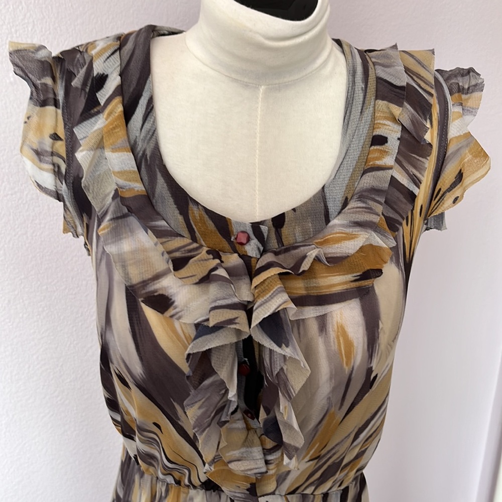 Beautiful Sheer Ruffle Blouse - Picture 2 of 8